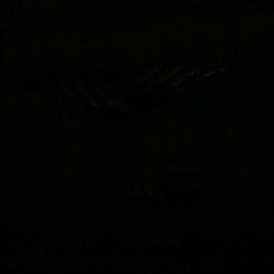 Meet your Posher, Jamal